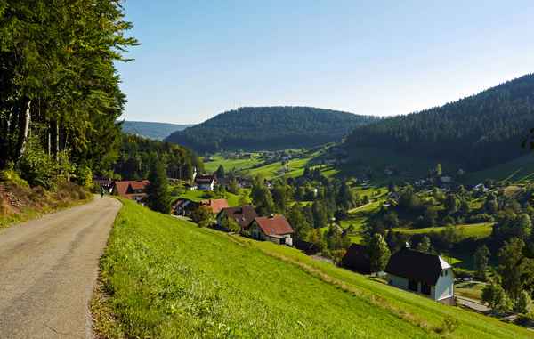 Panorama im Nordschwarzwald