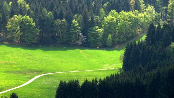Im Baiersbronner Wanderhimmel_2