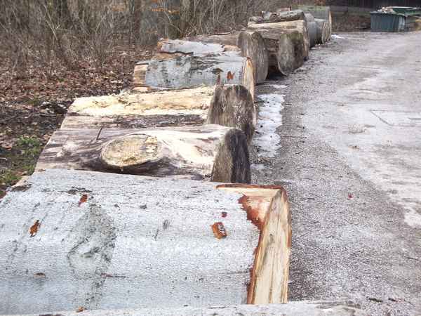Holz am Weg