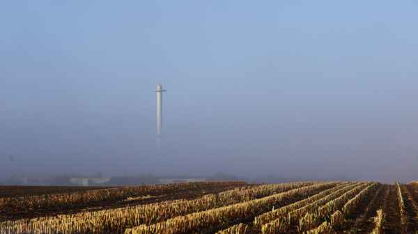 nebel in den feldern