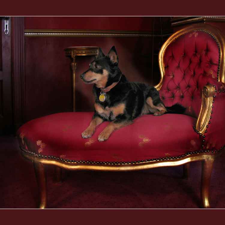 Proletariat im Schloss