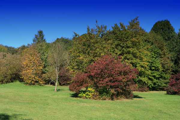 Natur 01