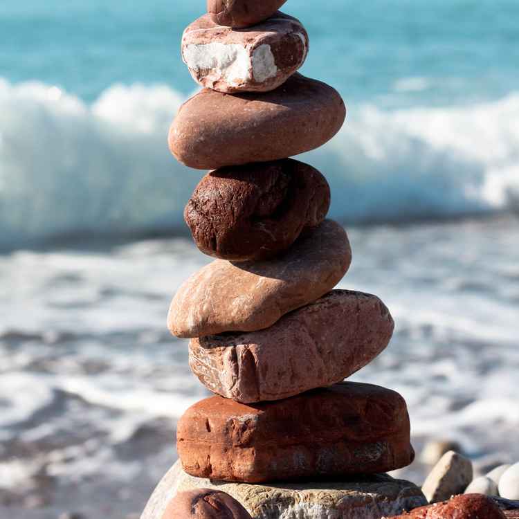 Dynamisch und statisch