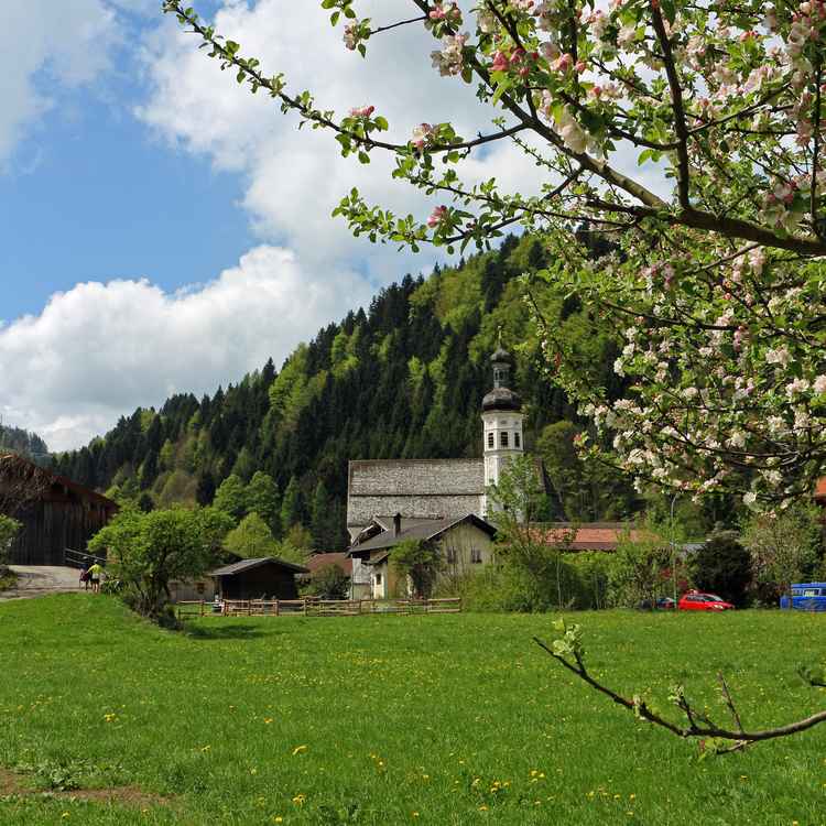 Frühlingswiese mit Kirche