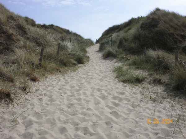 Weg durch die Dünen