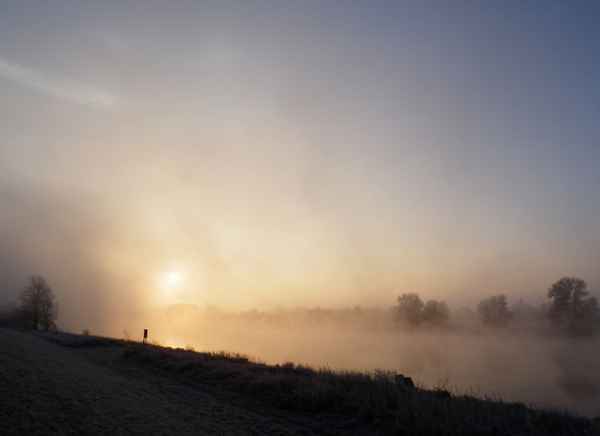 Nebelmorgen an der Elbe