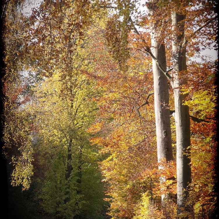 Herbst