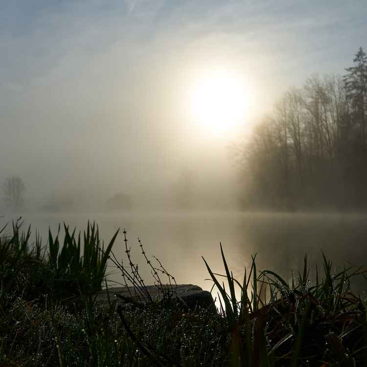 Nebel, Wasser, Sonne