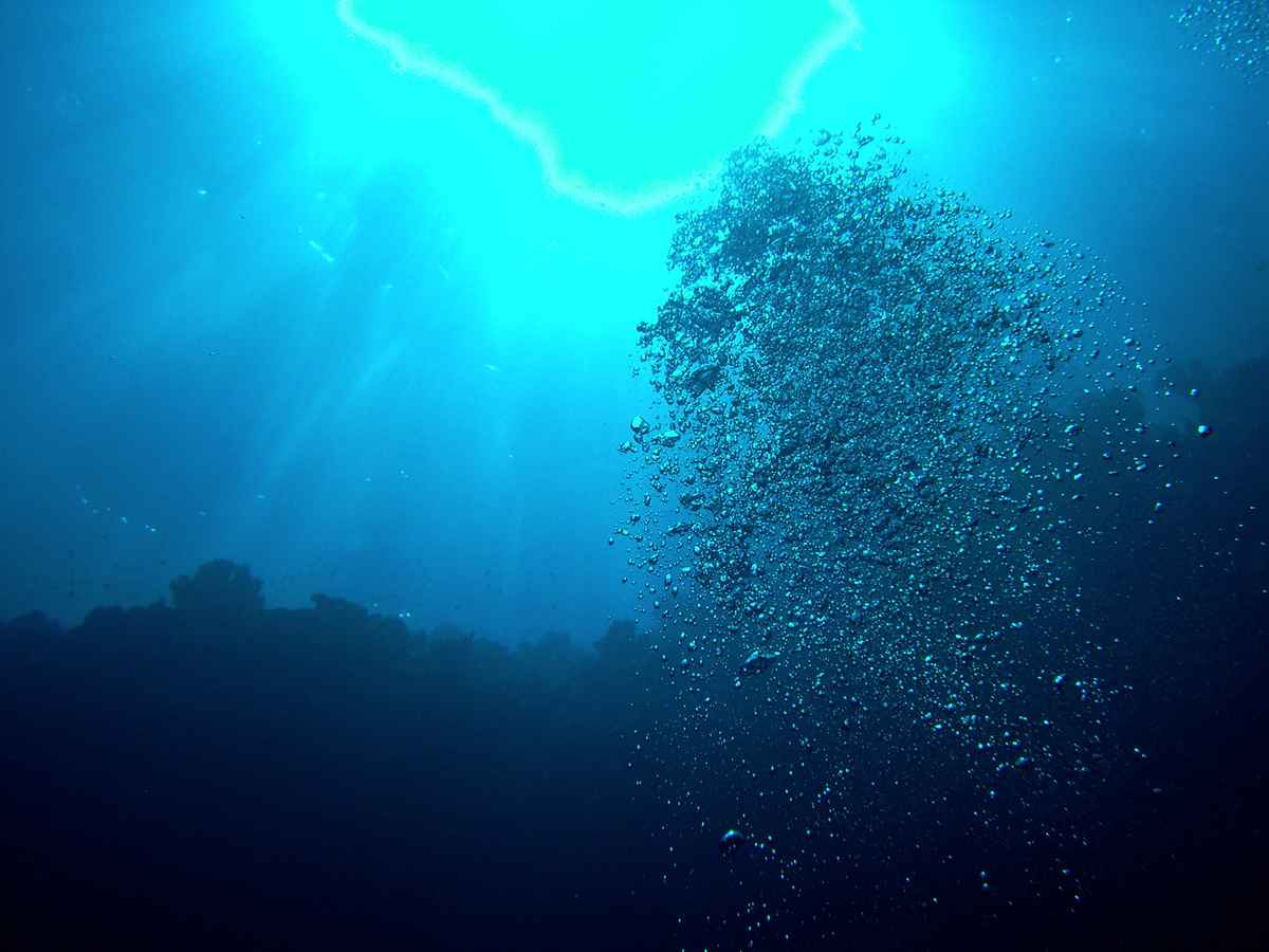 Open Water