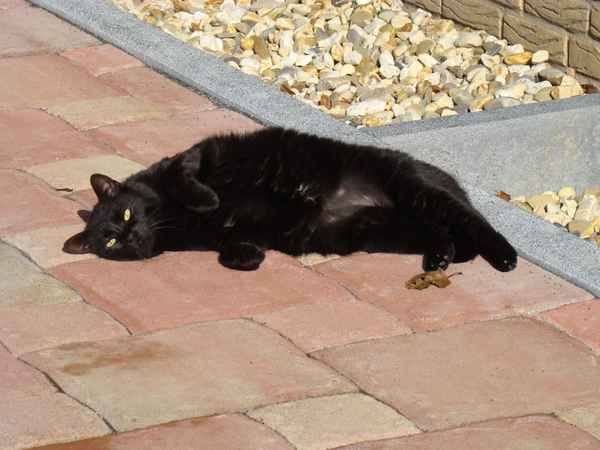 ..der Sonne entgegen! (*Ginger)