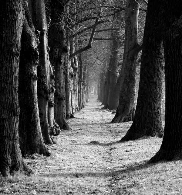 Der Weg ist lang.