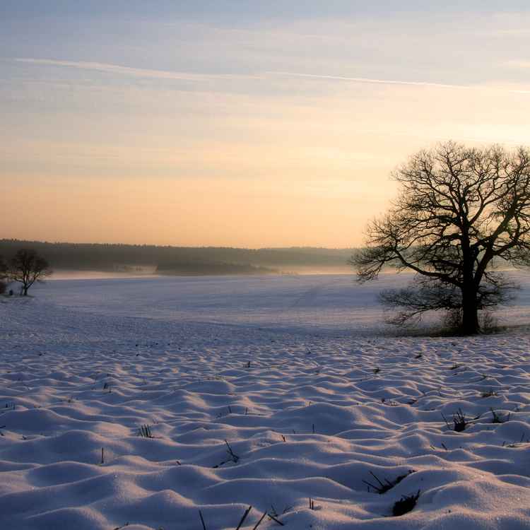 Winterlandschaft