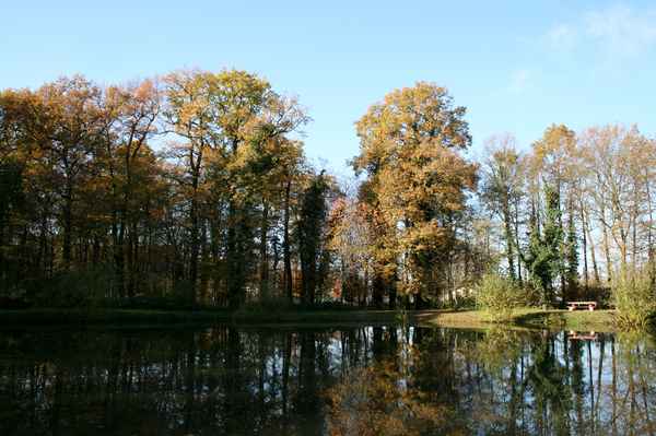 kleiner see am waldrand...