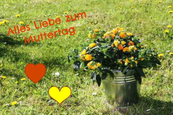 Zum Muttertag
