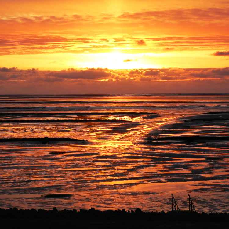 Watt in der Abendsonne