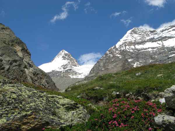 Alpenwelt - Kreuzboden - Hoh-Saas