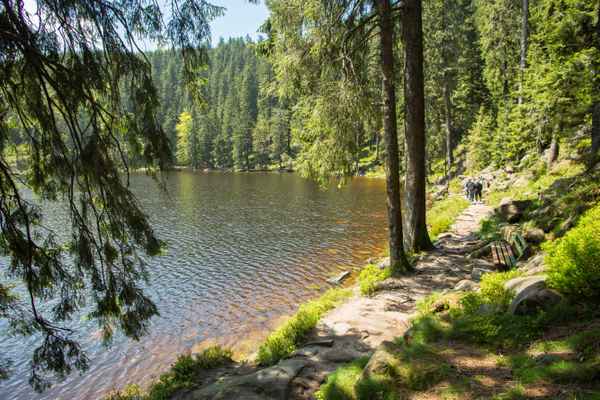 Rundweg am Mummelsee, Schwarzwald 2