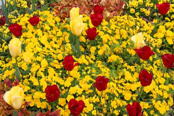 Ab in den Frühling