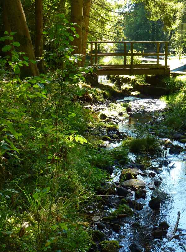 Waldbach mit Holzbruecke _hoch 2