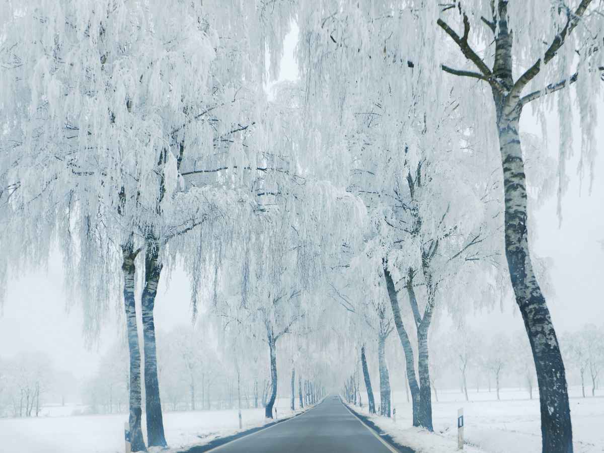 fahrt durch die eiszeit