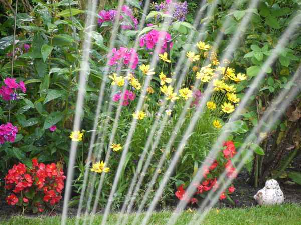 Hochsommer im Garten