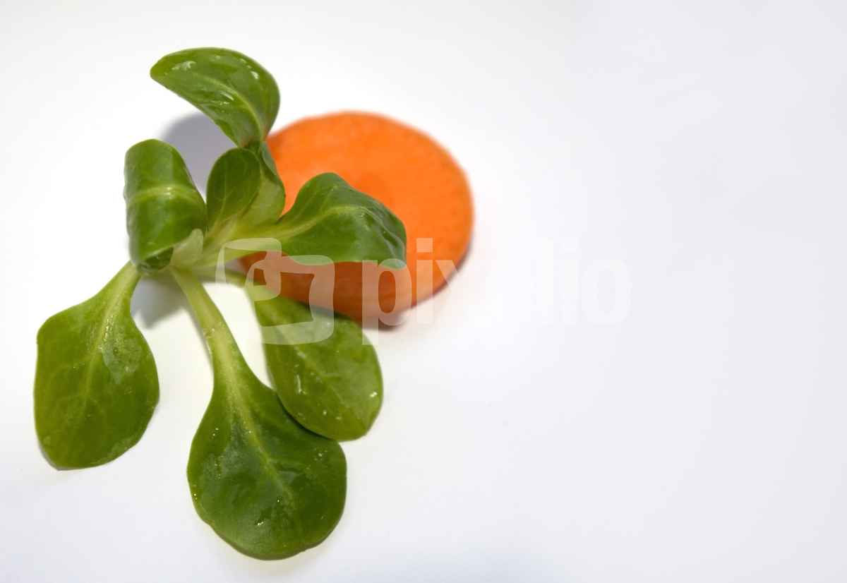 Food Desgin