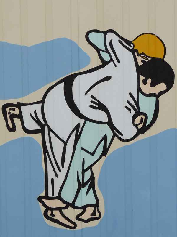 Judo