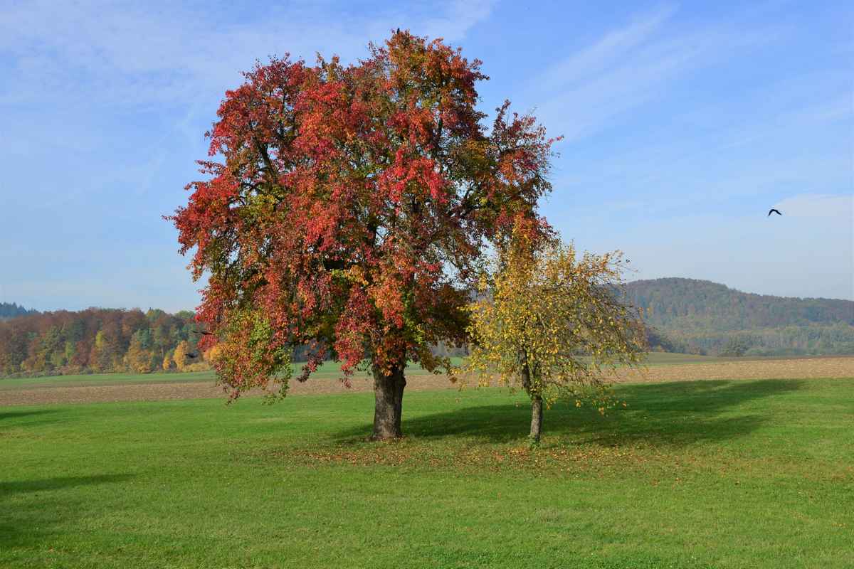 Groß und Klein im herbstlichen Look