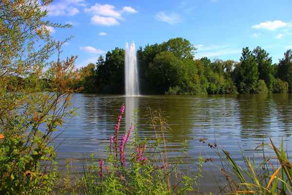 Wasserspiele am Teich