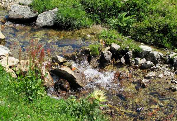Natur pur unterwegs