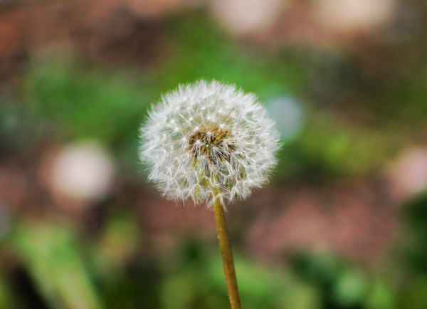 Noch sind sie alle dran