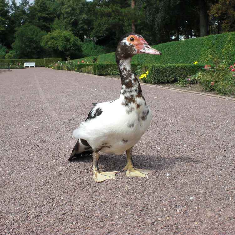 Nehmt mich mit!
