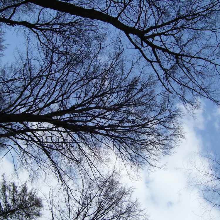 Blick nach oben