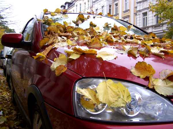 Herbstlich geschmückt