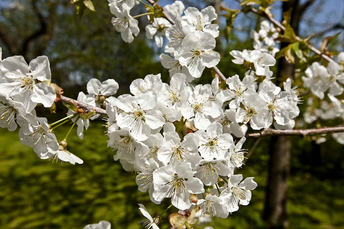 Bitte keinen Frost mehr