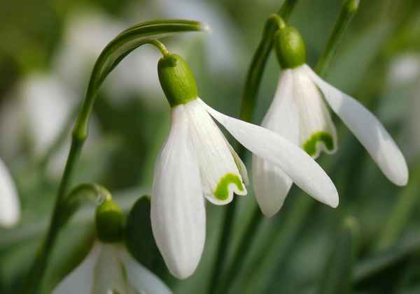 es dauert nicht mehr lange...