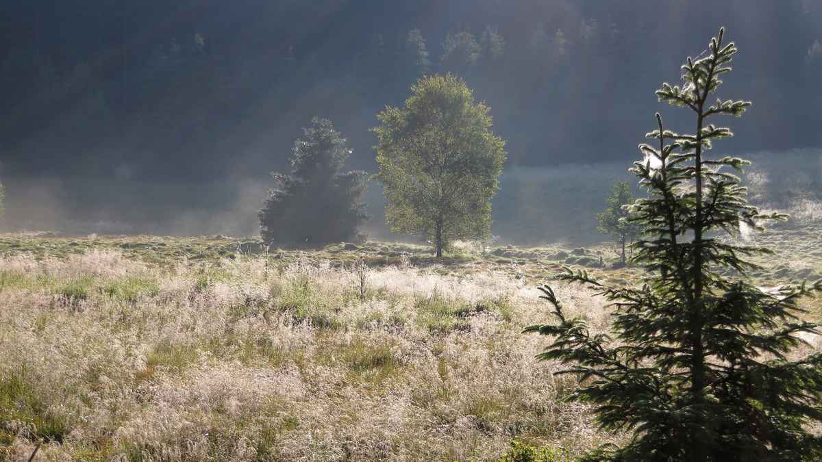 An der tschechischen Grenze bei Neukirchen St. Christopf