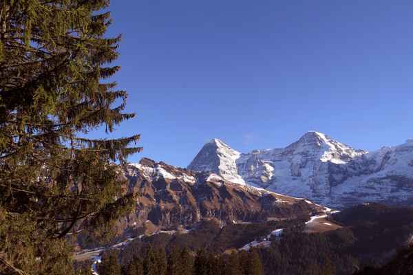 Eiger und Mönch im Abendlicht