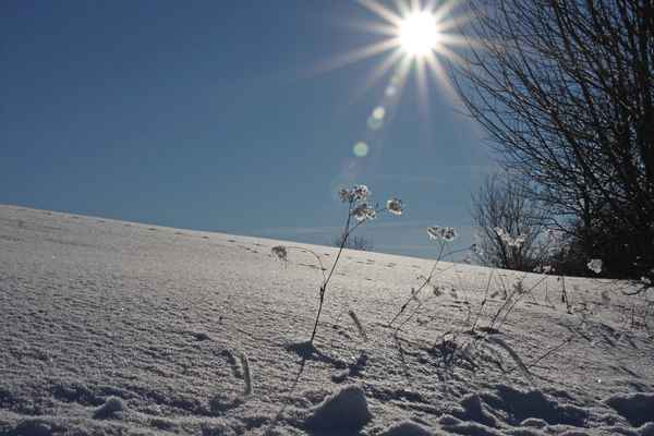 Winter auf der Schwäbischen Alb 2