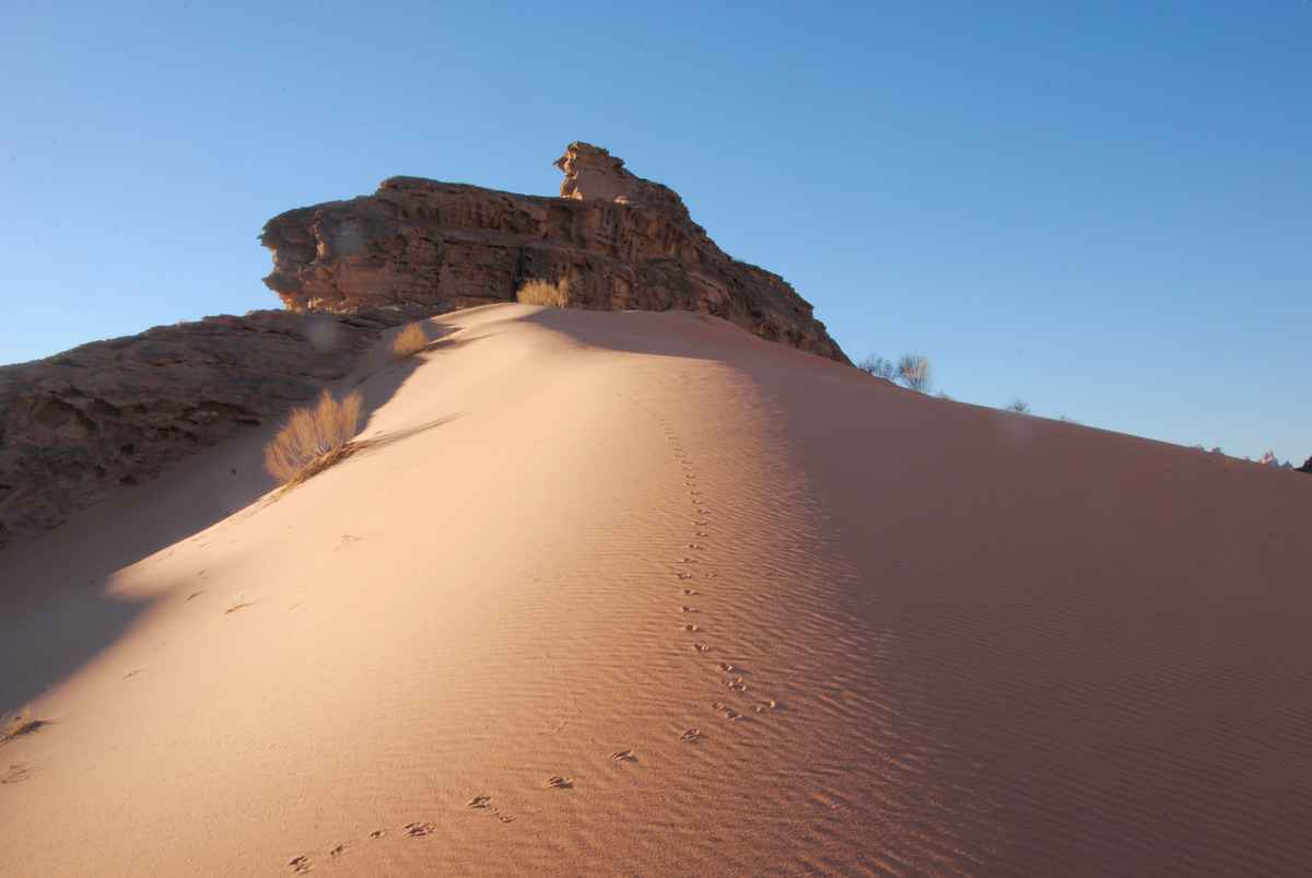Wadi Rum in Jordanien