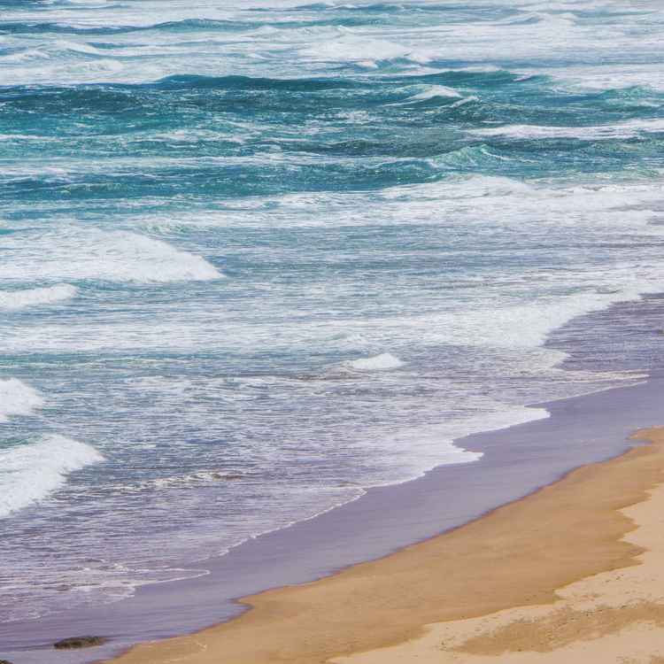 Einsamer Strandl&auml;ufer