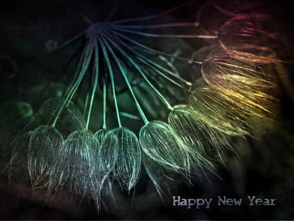"HAPPY NEW YEAR 2009 !"