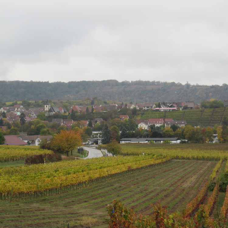 Weinberg