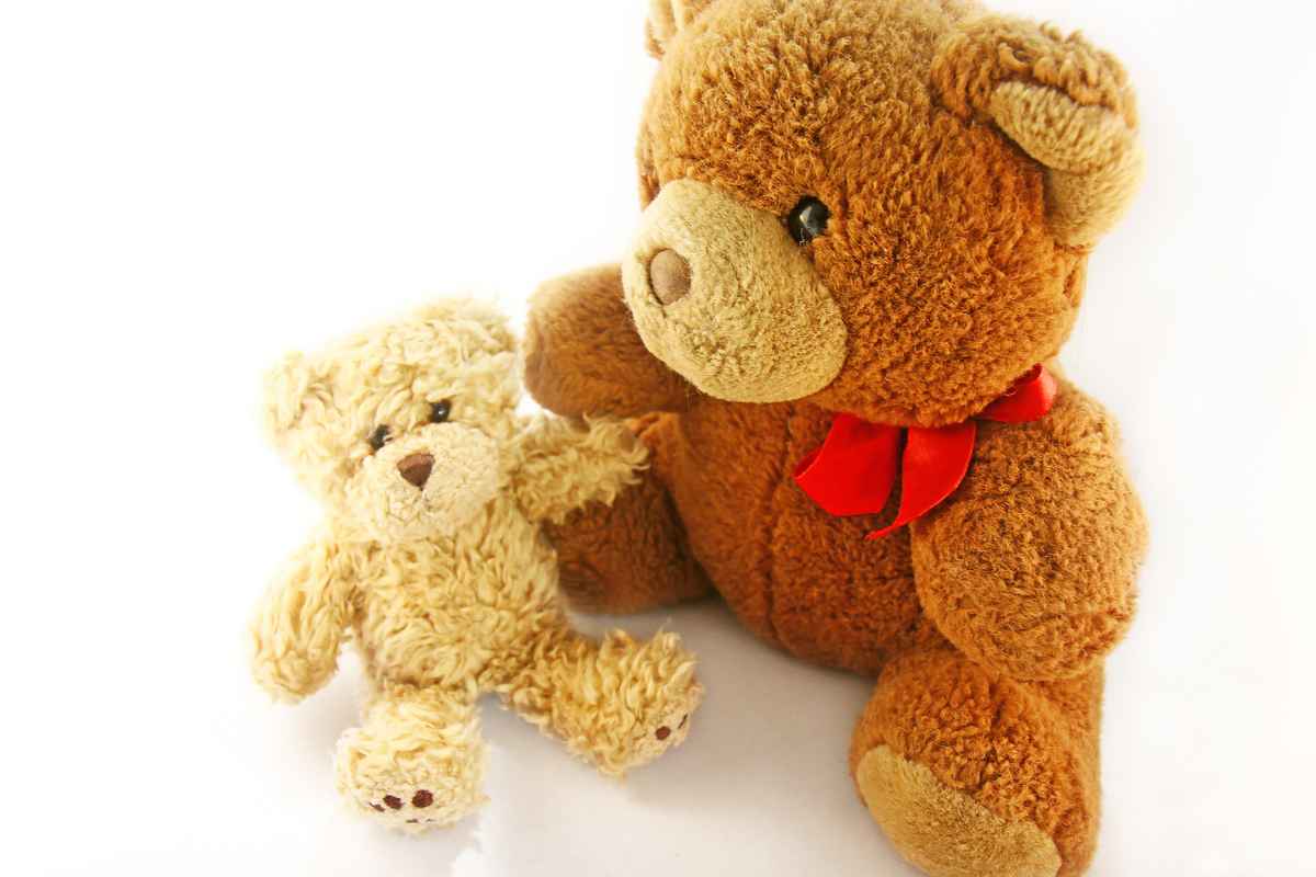 Der große Bruder des kleinen Teddybären