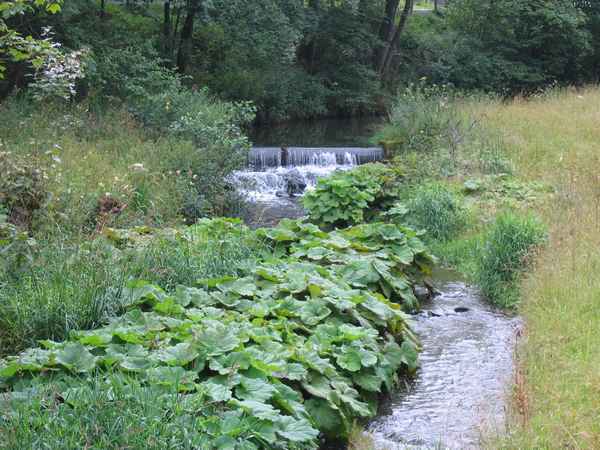 Kleiner Wasserfall