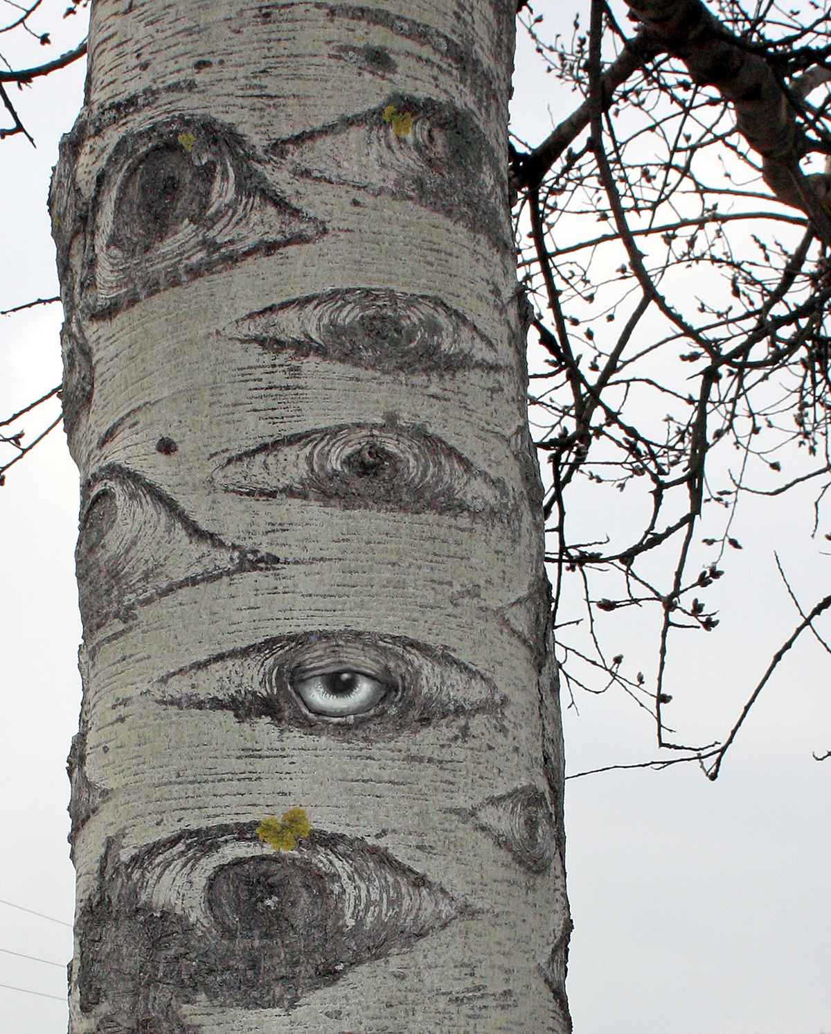 Sie sind überall.../Augenweide