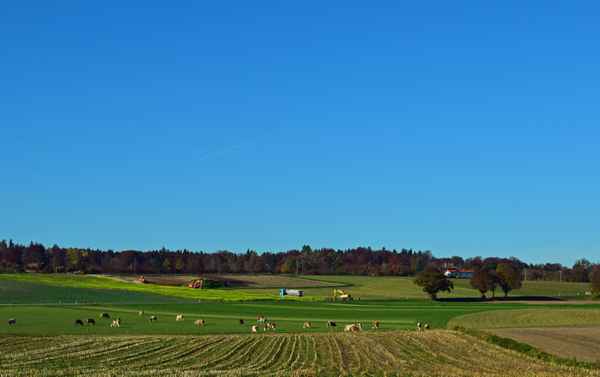 Ländliche Idylle...???