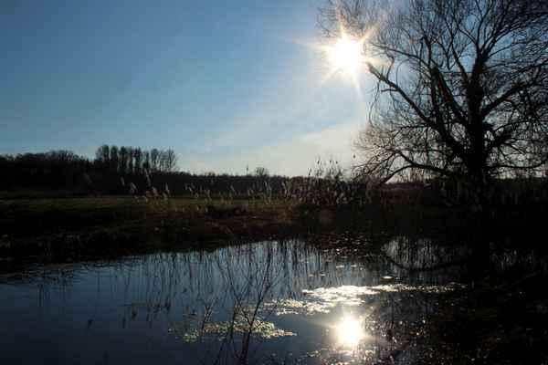 wintersonne im gegenlicht