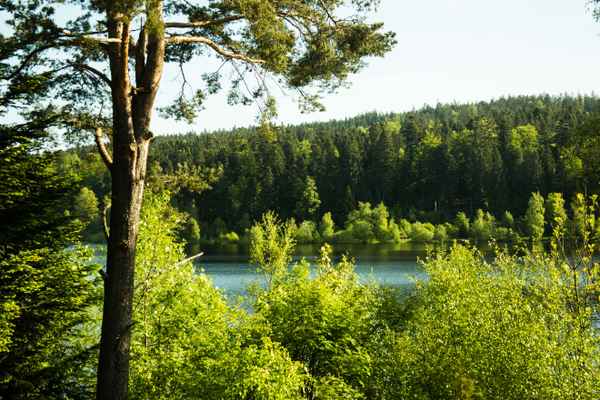 Morgenstimmung am See 03
