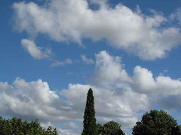 Ein schöner Tag im Mai